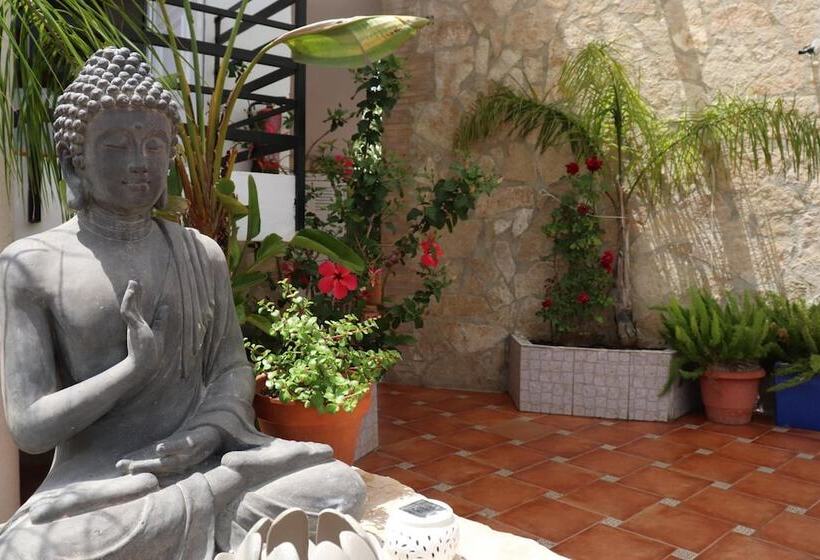 Hostal La Paloma Ii   Hotel Calpe Grupo