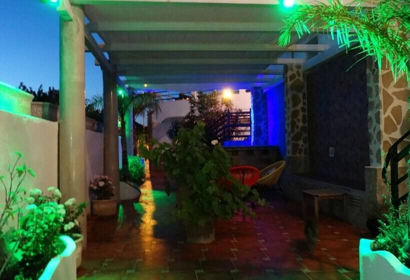 Hostal La Paloma Ii   Hotel Calpe Grupo