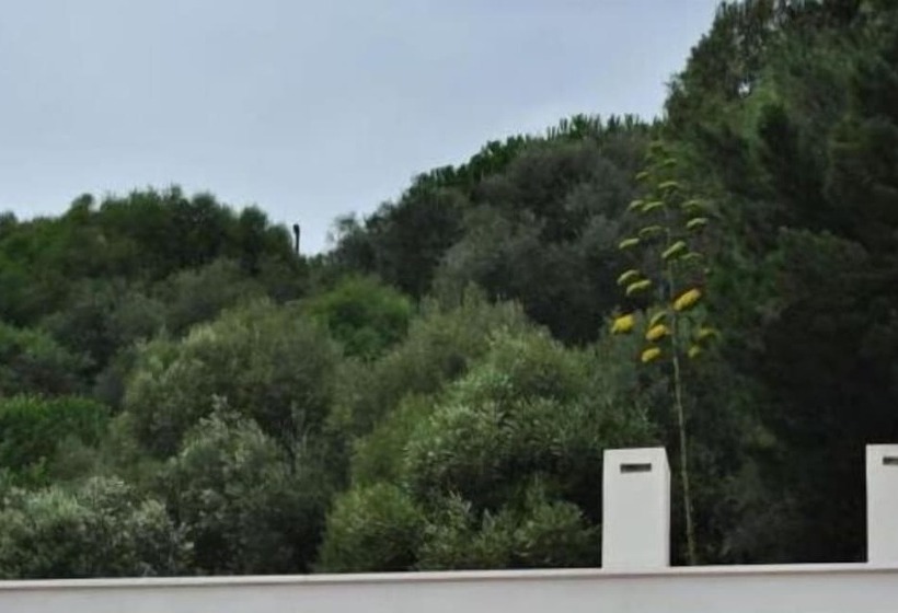 בית מלון כפרי Amazigh Hostel & Suites