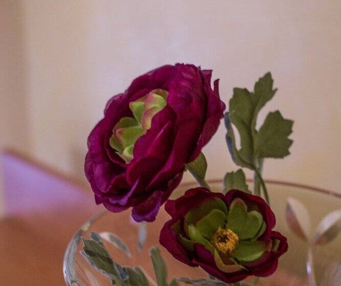 هتل Angelica Firenze