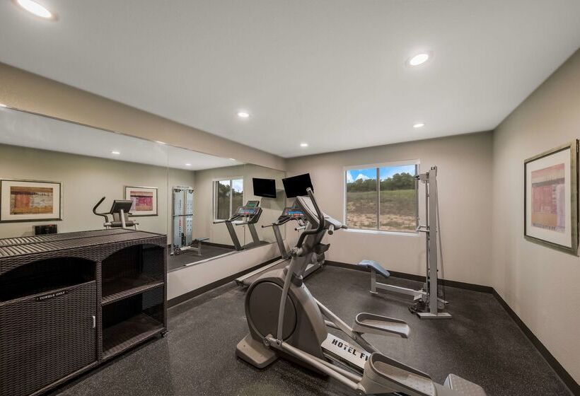 בית מלון כפרי Best Western Bowie Inn & Suites