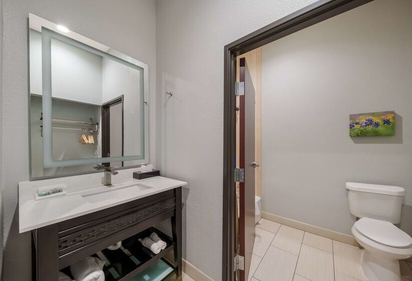 호텔 Best Western Bowie Inn & Suites