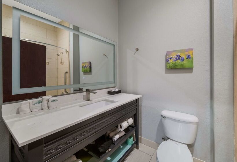 בית מלון כפרי Best Western Bowie Inn & Suites