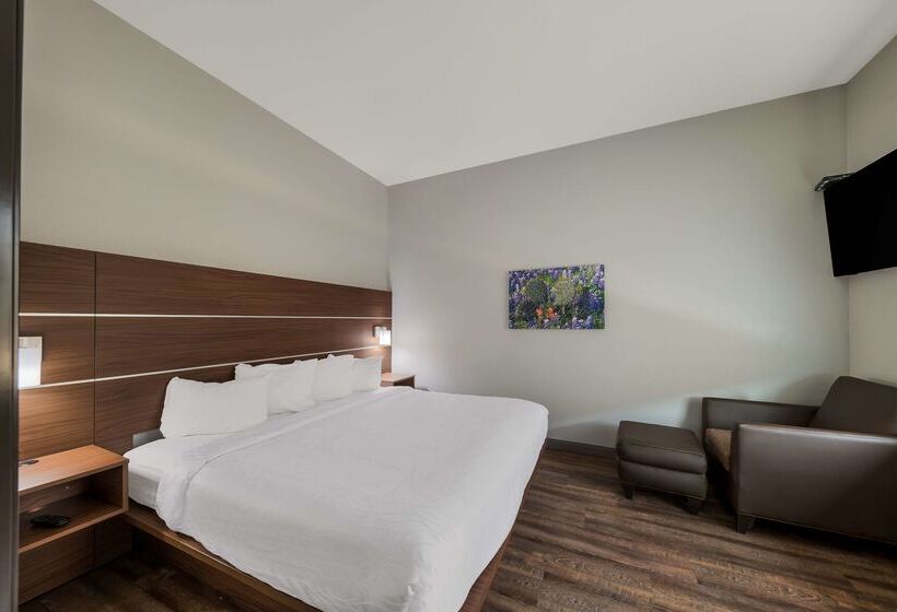 בית מלון כפרי Best Western Bowie Inn & Suites