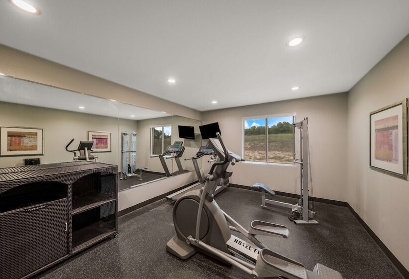 호텔 Best Western Bowie Inn & Suites