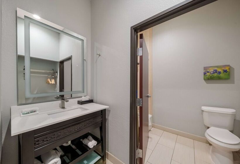 בית מלון כפרי Best Western Bowie Inn & Suites