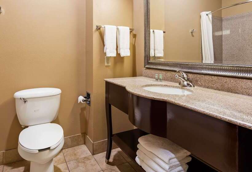 호텔 Best Western Lamesa Inn & Suites