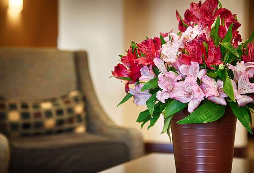 호텔 Best Western Lamesa Inn & Suites