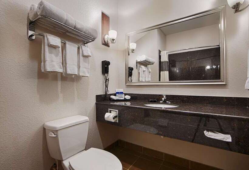 בית מלון כפרי Best Western Plus Greenville South