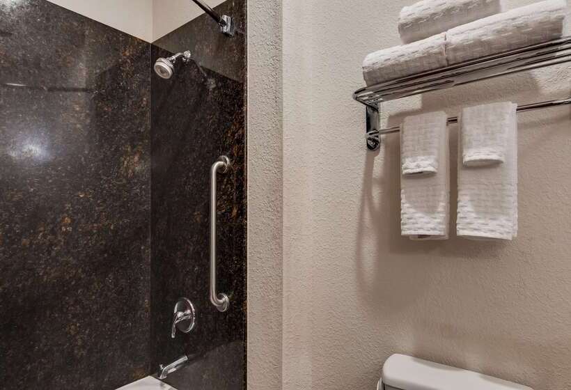 בית מלון כפרי Best Western Plus Greenville South