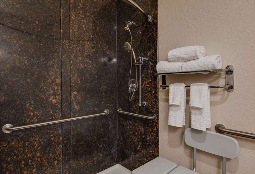 בית מלון כפרי Best Western Plus Greenville South