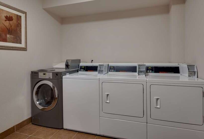 בית מלון כפרי Best Western Plus Greenville South