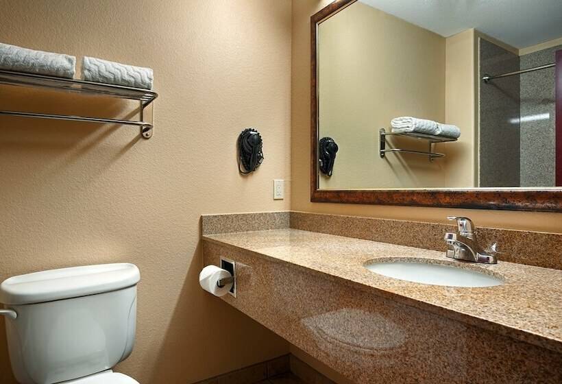 ホテル Best Western Plus Katy Inn And Suites