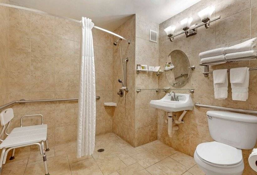 Best Western Plus Swiss Chalet Hotel & Suites