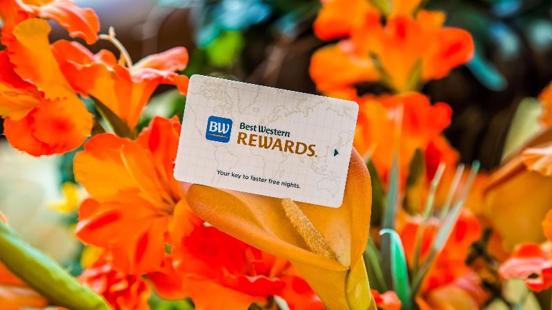 Best Western Plus Swiss Chalet Hotel & Suites