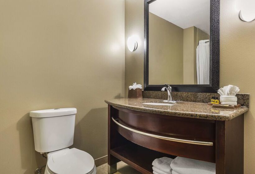 Best Western Plus Texoma Hotel & Suites