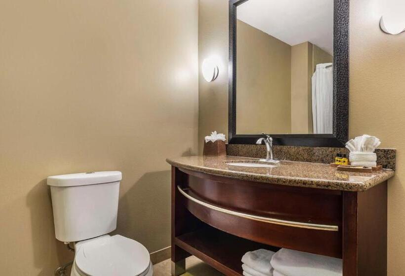 Best Western Plus Texoma Hotel & Suites