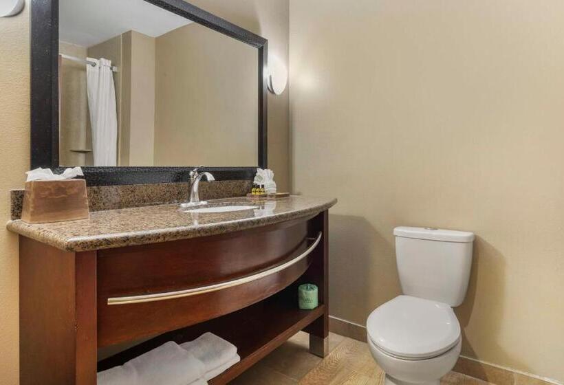 Best Western Plus Texoma Hotel & Suites