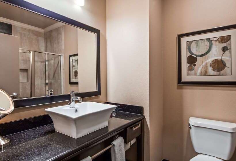 酒店 Best Western Premier Crown Chase Inn & Suites