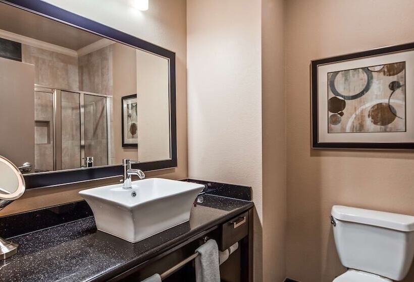 Отель Best Western Premier Crown Chase Inn & Suites