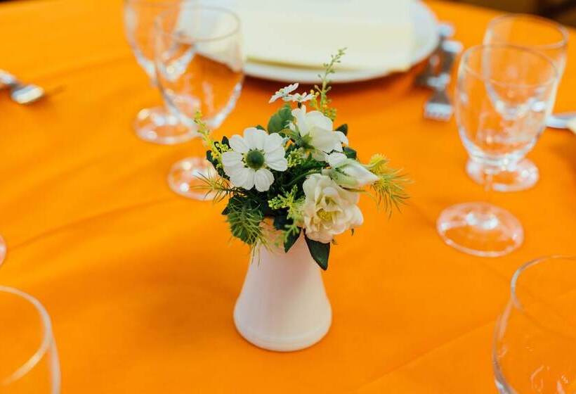 فندق Cala Di Forno