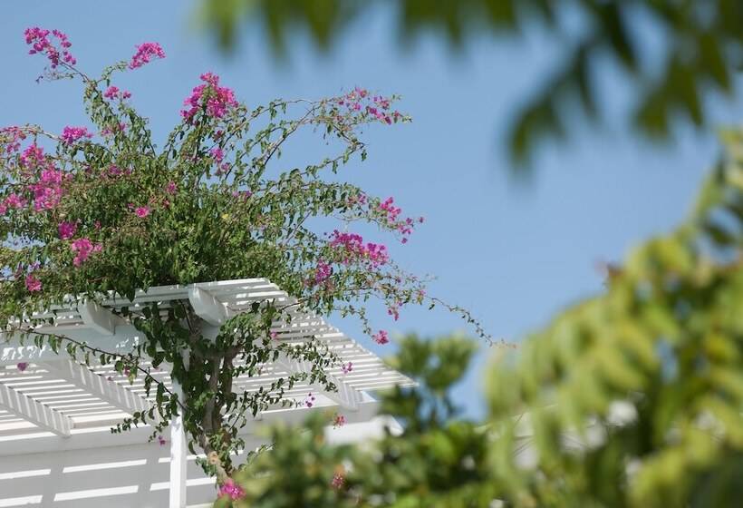 Отель Casa Bianca