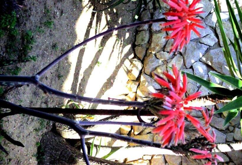 בית מלון כפרי Casas Novas Guesthouse   Adults Only