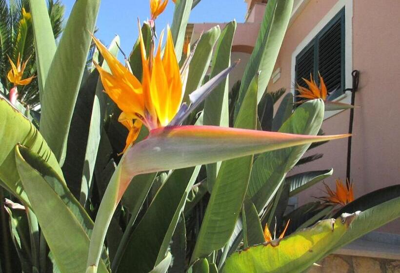 בית מלון כפרי Casas Novas Guesthouse   Adults Only