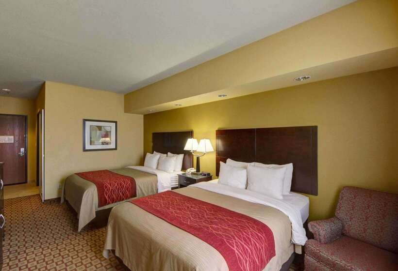 ホテル Comfort Inn & Suites Donna Near I2