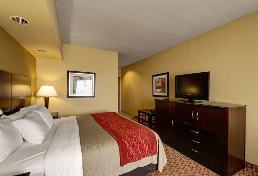 ホテル Comfort Inn & Suites Donna Near I2