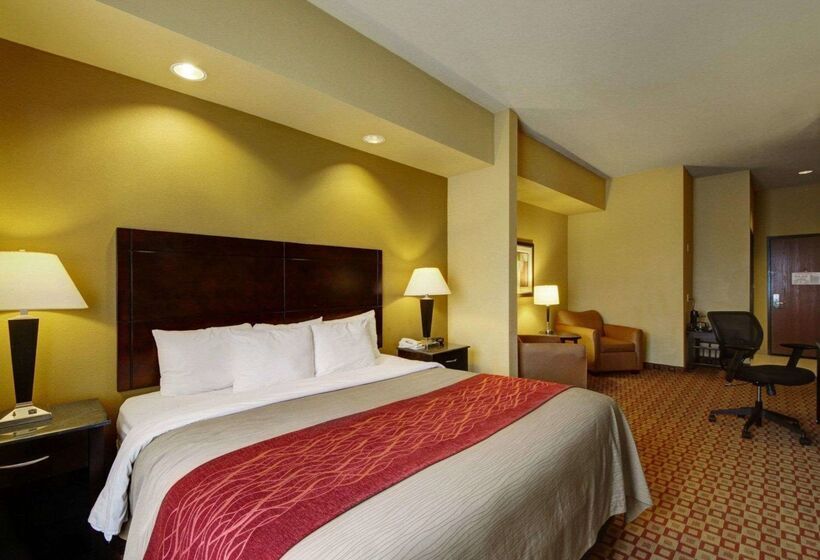 ホテル Comfort Inn & Suites Donna Near I2