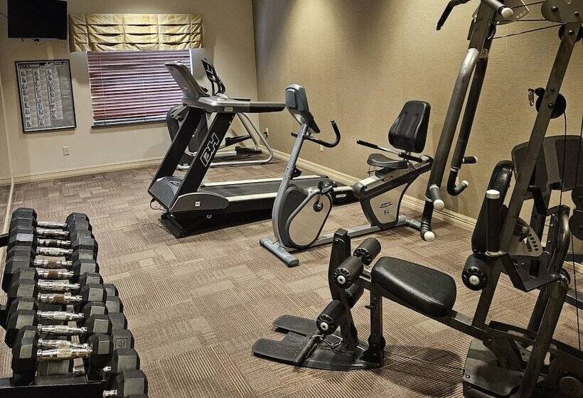 ホテル Comfort Inn & Suites Donna Near I2