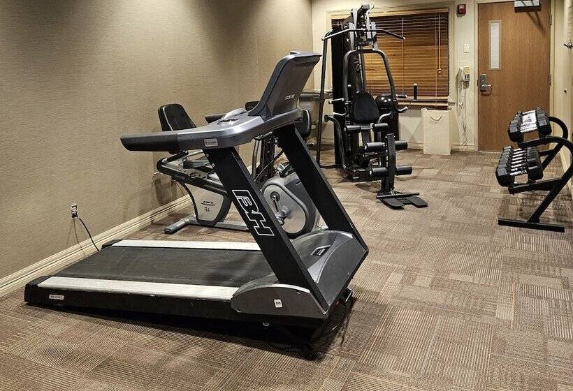 호텔 Comfort Inn & Suites Donna Near I2