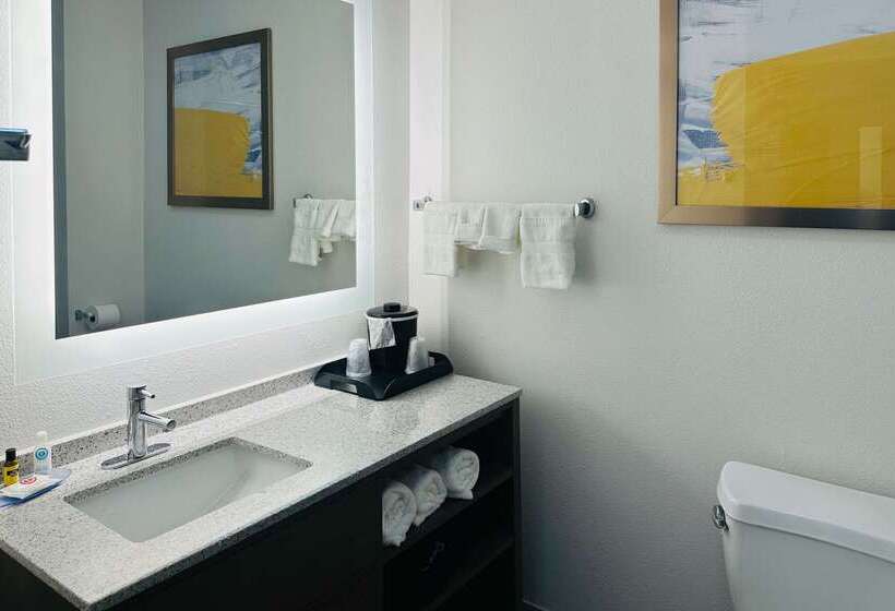 酒店 Comfort Inn & Suites Wylie