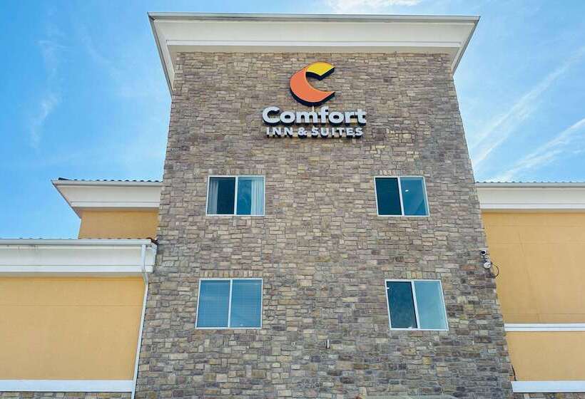 酒店 Comfort Inn & Suites Wylie