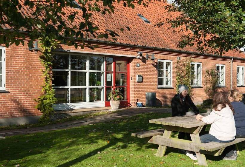 فندق Hostel Belægningen