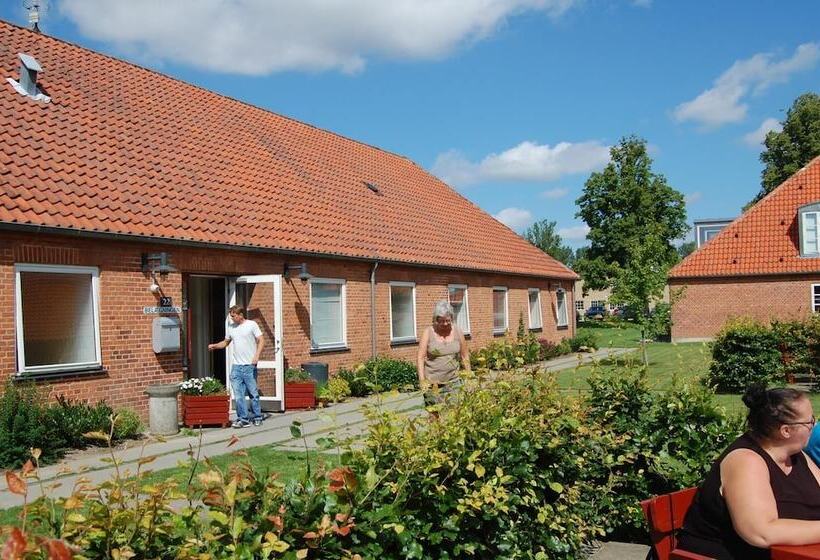 فندق Hostel Belægningen