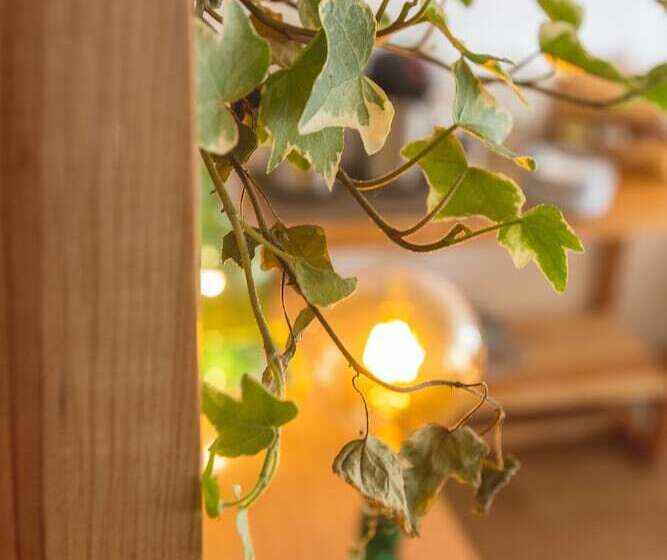 هتل Lisbon Story Guesthouse