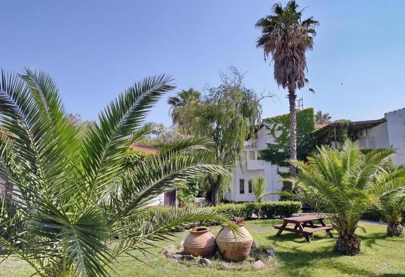 酒店 Malemi Organic