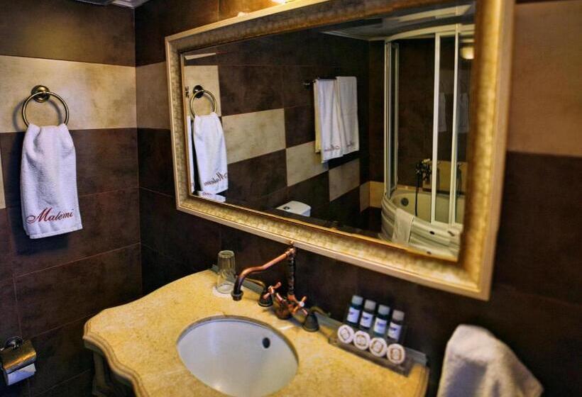 酒店 Malemi Organic