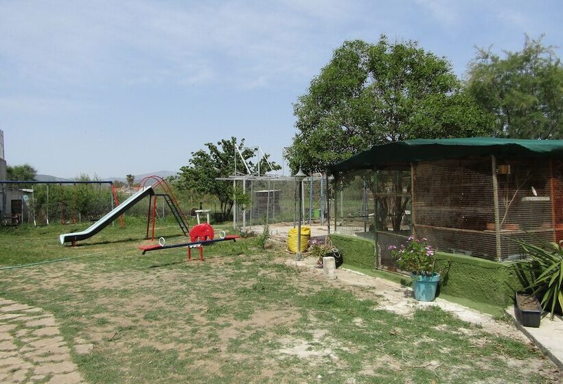 酒店 Malemi Organic