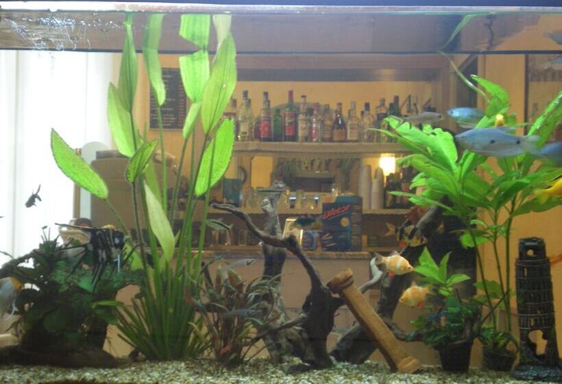 Hôtel Villa Primavera