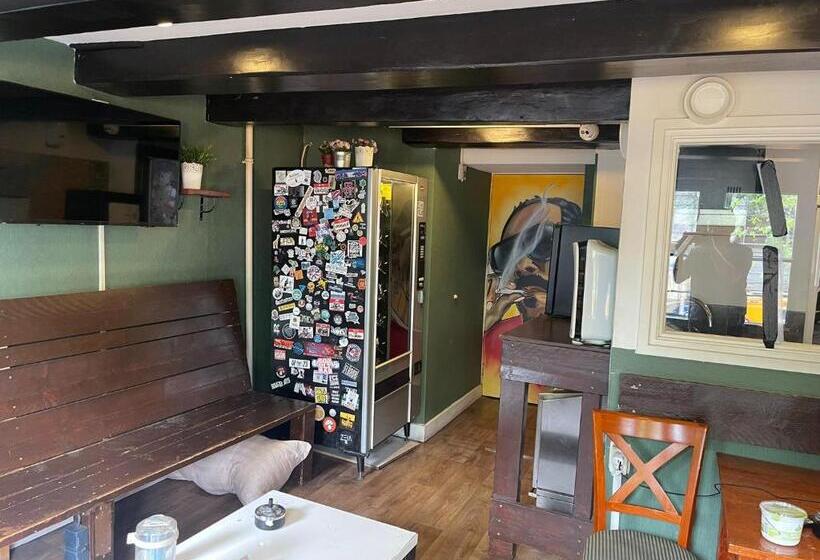 International Budget Hostel City Center