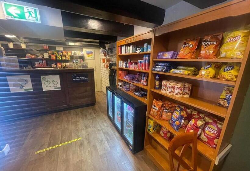 International Budget Hostel City Center