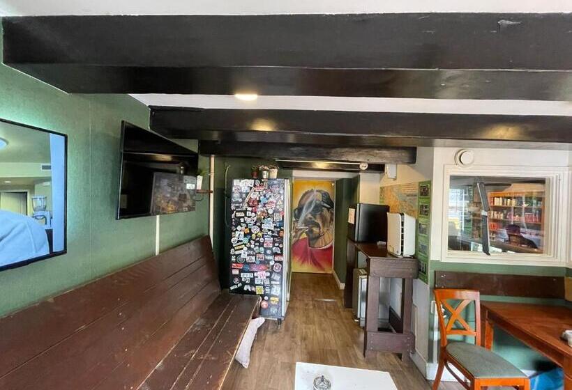 International Budget Hostel City Center