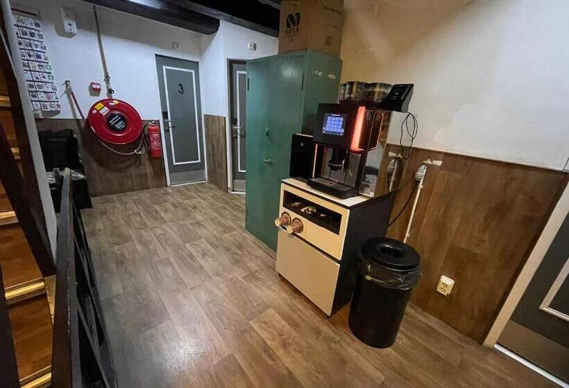 International Budget Hostel City Center