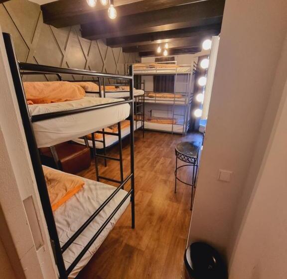 International Budget Hostel City Center