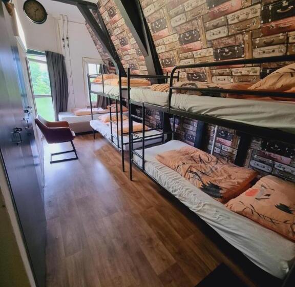 International Budget Hostel City Center