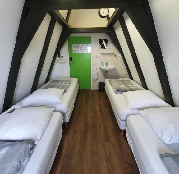 International Budget Hostel City Center