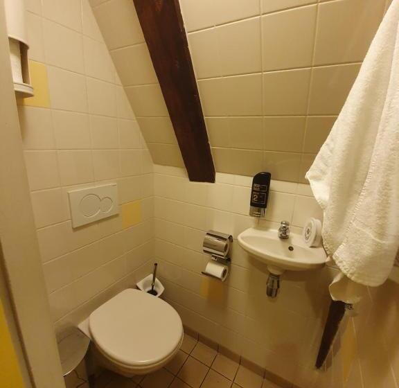 International Budget Hostel City Center